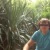 Аватар пользователя ulogin_vkontakte_31392429